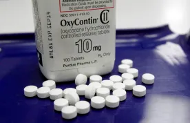 Class-action lawsuit targeting opioid manufacturers certified by B.C. Supreme Court
