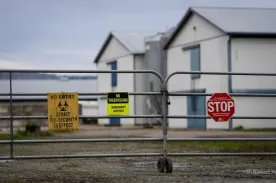 Health officials in Ontario’s Peel Region suspect avian flu in wild bird deaths
