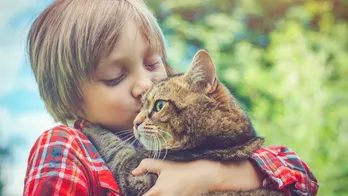 Cat owners beware as pet food with bird flu risk is recalled