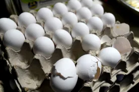 U.S. egg prices surge to record highs despite Trump’s predictions