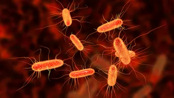 E. coli outbreak went unpublicized by FDA despite affecting 15 states: report