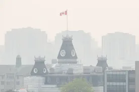 Wildfire smoke linked to rise in ER visits for asthma: study