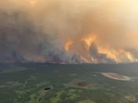 Do you know about the health damage long-term wildfire smoke exposure can cause?